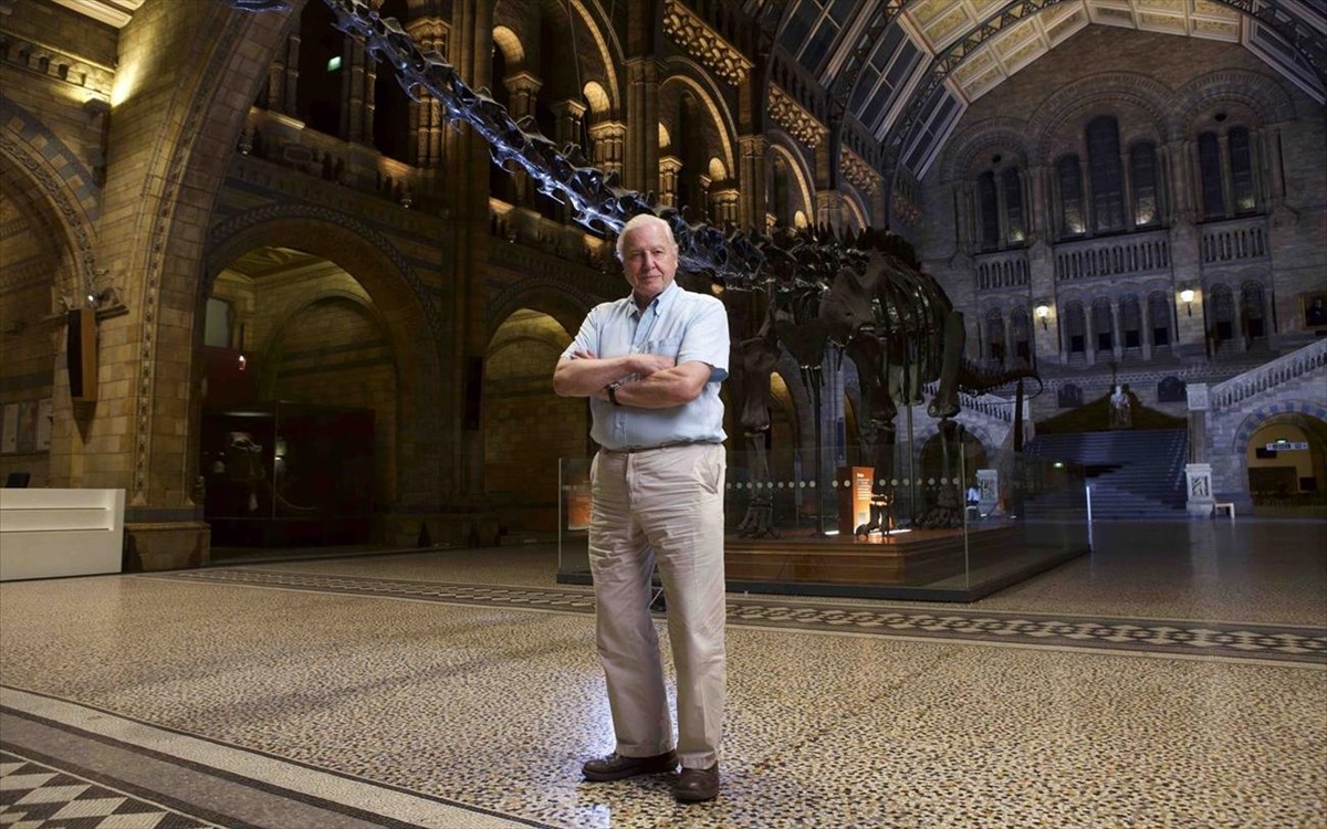 viasat-naturesir-davidglobaladventure