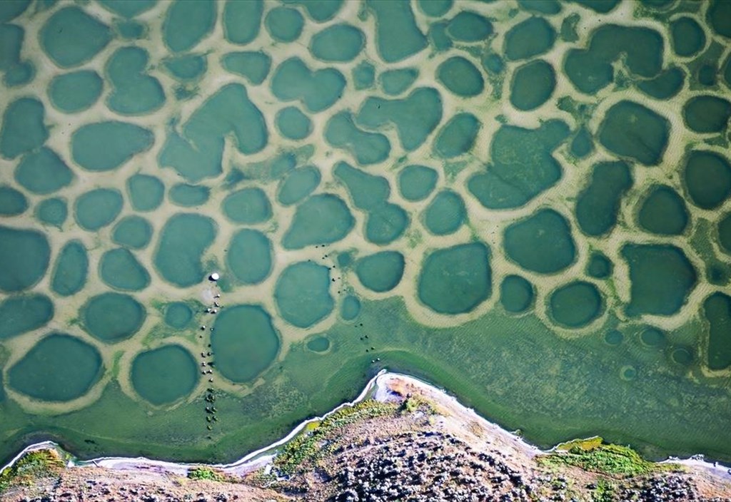 spotted-lake-mia-poua-limni-ston-kanada-thumizei-pinaka-tou-ntali