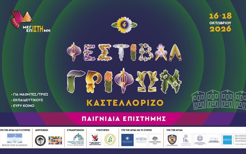 6o-festibal-grifon-gia-treis-imeres-to-kastellorizo-ginetai-ena-megalo-anoixto-ergastirio