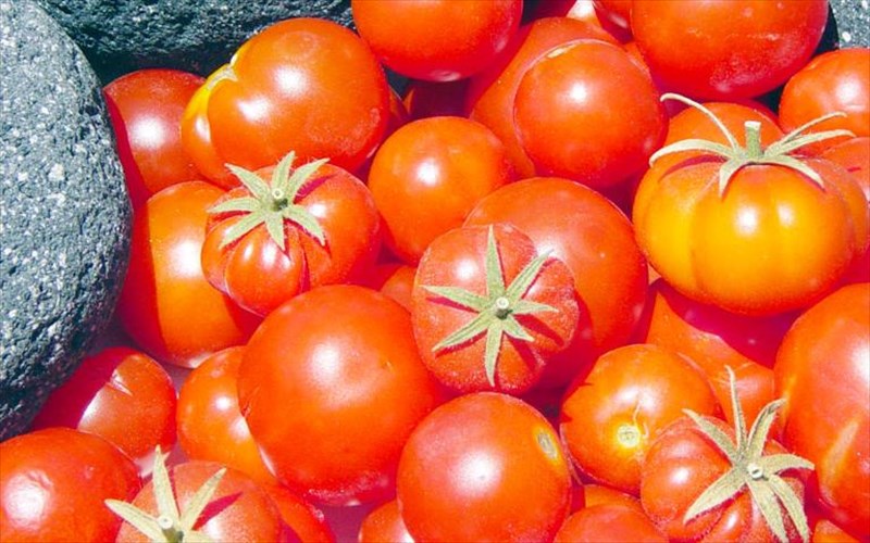 to-tomataki-santorinis-egine-pop