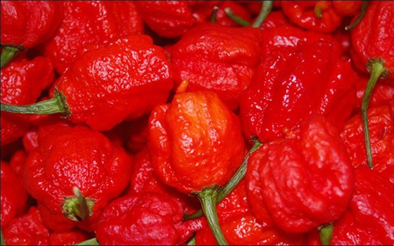 oi-pio-kauteres-piperies-tou-kosmou