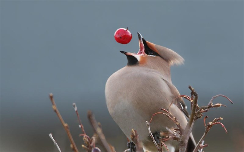 6-fotografies-se-teleio-sugxronismo-fotografies-se-teleio-sugxronismo
