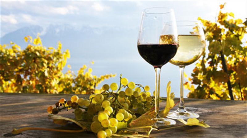 poia-i-sxesi-tourismou-kai-eponumou-ellinikou-krasiou-sxesi-tourismou-kai-eponumou-ellinikou-krasiou