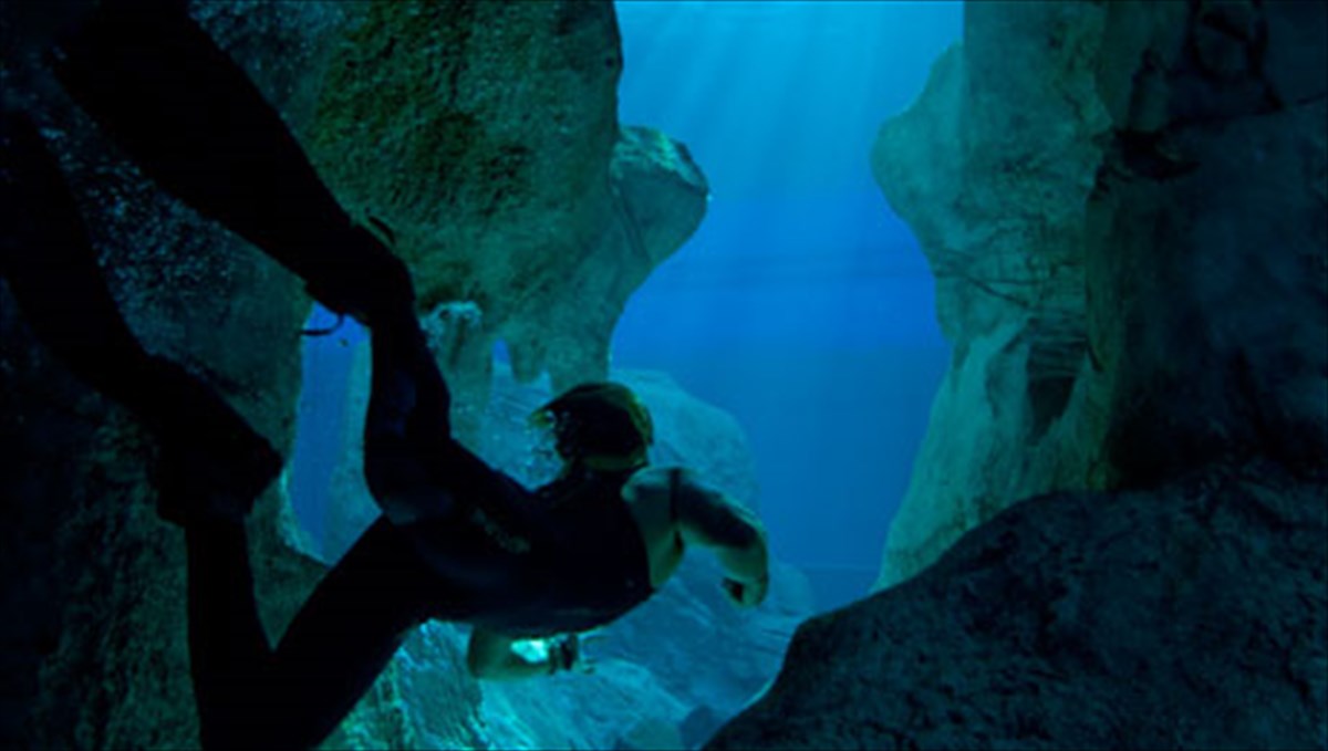 taksideuontas-sto-aduto-me-tin-kamera-tou-tzeims-kameron