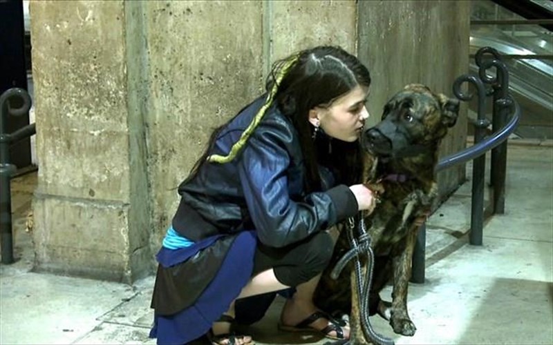 antistrofi-metrisi-gia-to-16o-festibal-ntokimanter