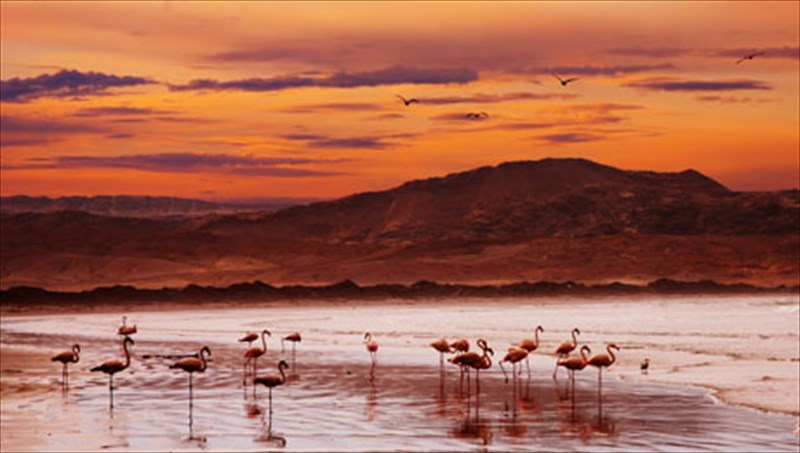 namimpia-ethniko-parko-i-terastia-aktogrammi-terastia-aktogrammi