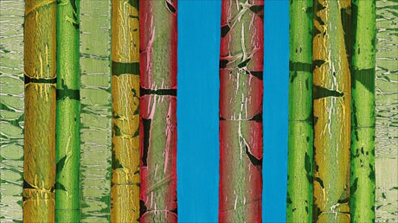 ti-mporei-na-ekfrasei-enas-kormos