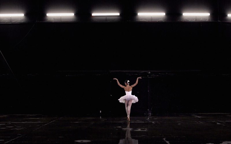 otan-oi-kuknoi-prosgeionontai-sto-simera