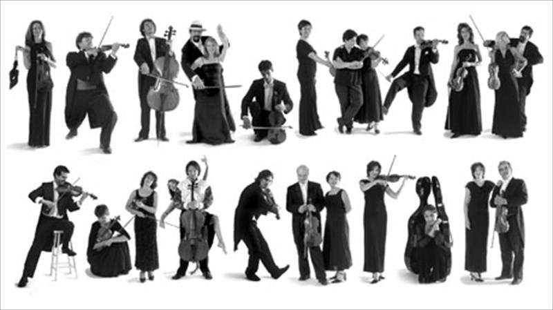 i-karuofullia-karampeti-se-enan-mousiko-rolo-ekpliksi