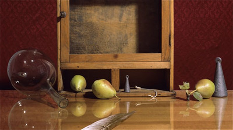 i-zontani-zestasia-tis-nekris-fusis