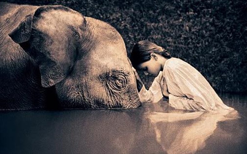 mia-marturia-kai-dodeka-diigimata