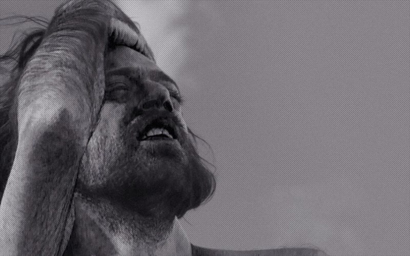 me-ton-boy-sto-six-dogs