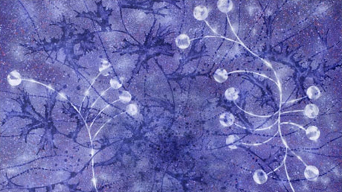 eikastikes-anafores-sti-sxesi-texnis-sumpantos