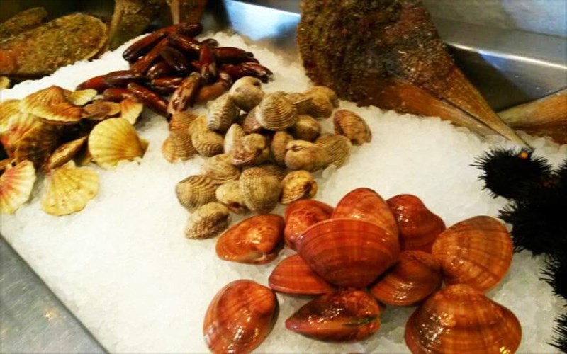 dourampeis-oyster-afiksi-kateutheian-apo-ton-butho-sto-neo-psuxiko