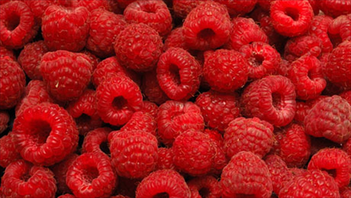 oi-10-trofes-pou-mporei-na-mas-arrostisoun