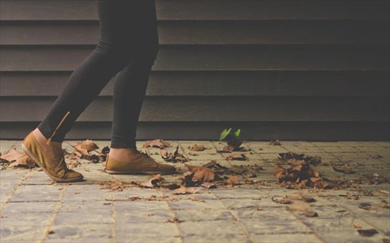 perpato-eis-tin-poli-otan-o-lukos-den-einai-edo-lukos-den-einai-edo