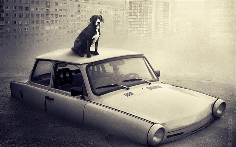 ena-eikastiko-project-briskei-spiti-se-adespota