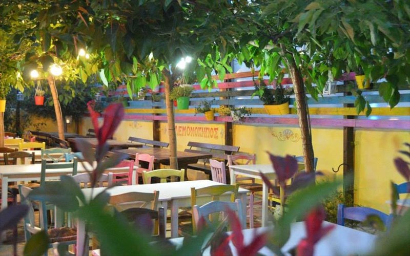 lemonokipos-peiragmena-mezedakia-upo-skian