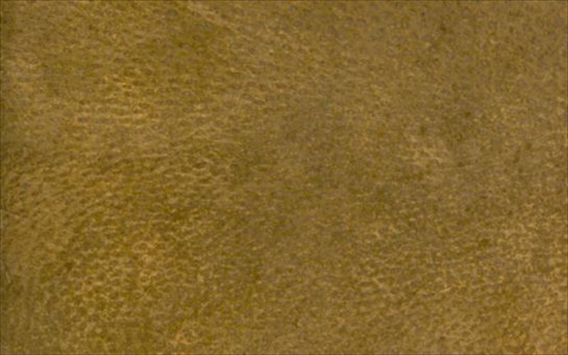 to-xarbarnt-exei-biblio-me-eksofullo-apo-anthropino-derma