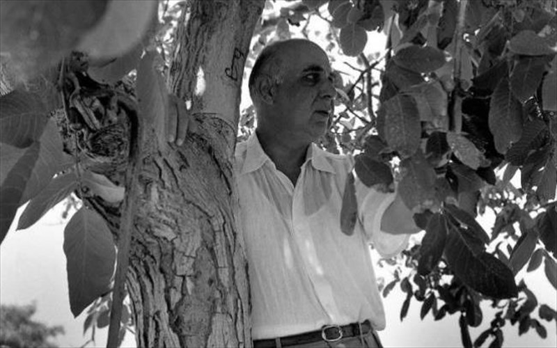 oi-fotografies-tou-giorgou-seferi-sto-palermo