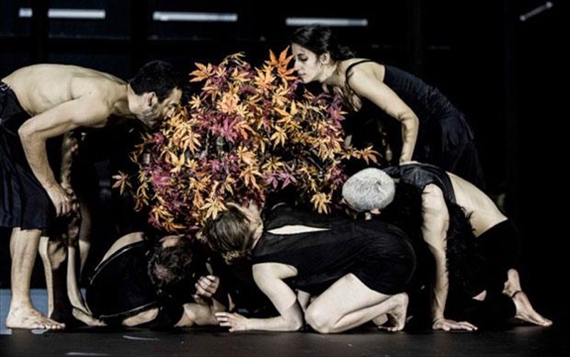 arkadia-kritiki-xorou