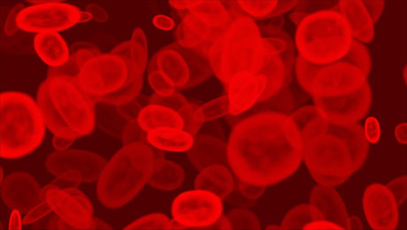 triglukeridia-ola-osa-prepei-na-gnorizete