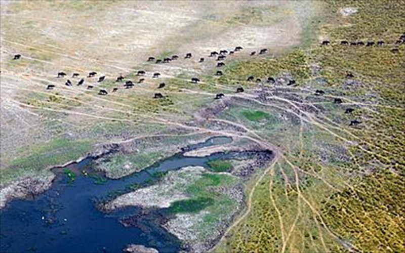 eikosi-eksi-mnimeia-prostethikan-ston-katalogo-tis-unesco