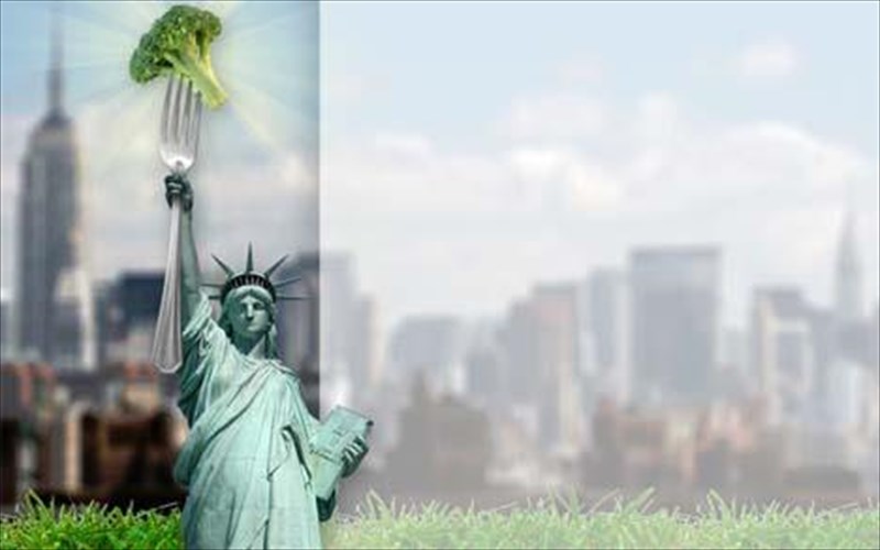 10-proorismoi-gia-xortofagous