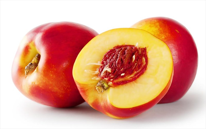 5-logoi-gia-na-trote-nektarinia-auto-to-kalokairi-logoi-gia-na-trote-nektarinia-auto-to-kalokairi