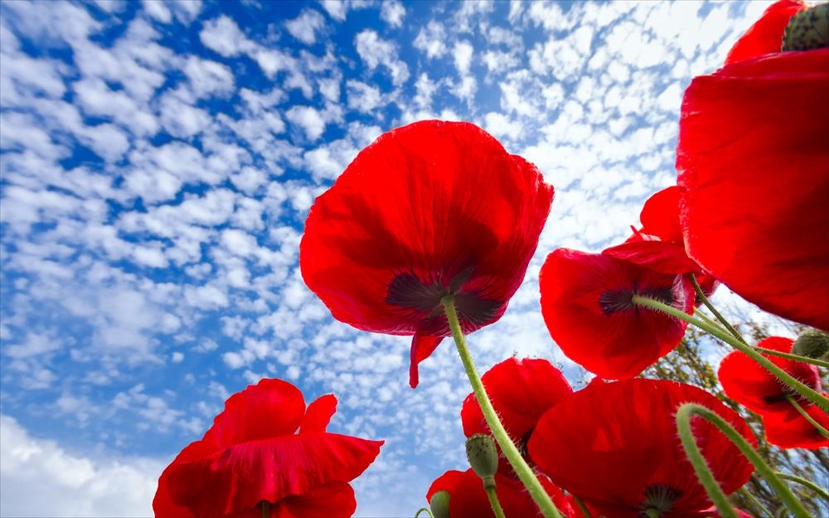 proorismoi-makria-apo-ordes-touriston