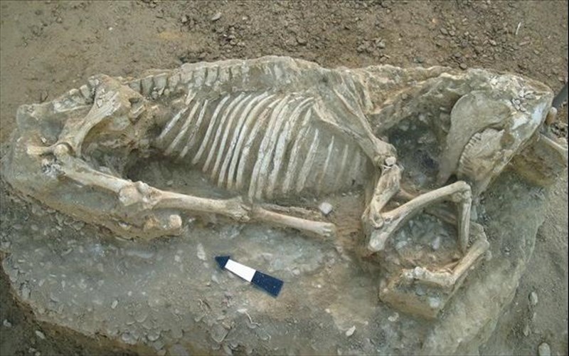 arxaiki-nekropoli-apokalufthike-sti-xio