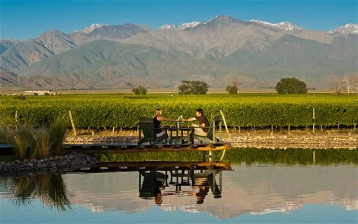 the-vines-of-mendoza