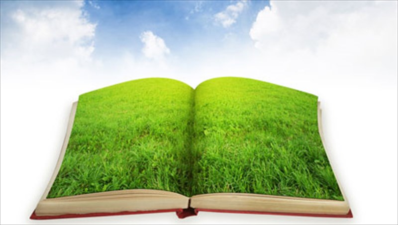 i-logotexnia-sunanta-tin-oikologia-kai-tin-epistimi