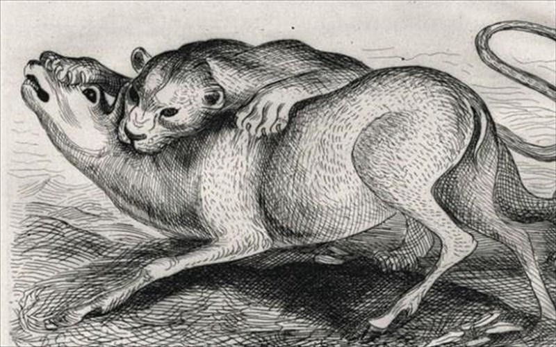 parateinetai-i-ekthesi-tou-dimitri-galani-me-eikonografimena-biblia-ekthesi-tou-dimitri-galani-me-eikonografimena-biblia