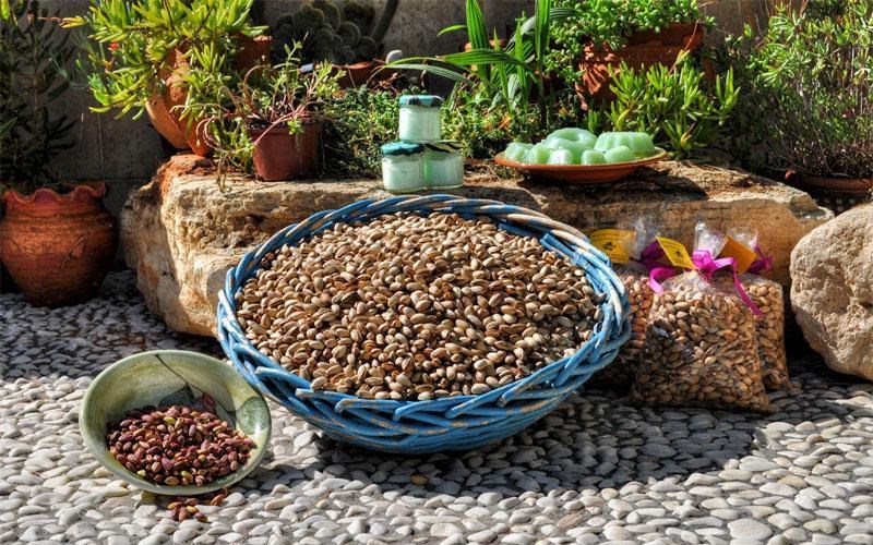 ksekina-i-giorti-fistikiou-stin-aigina-giorti-fistikiou-stin-aigina