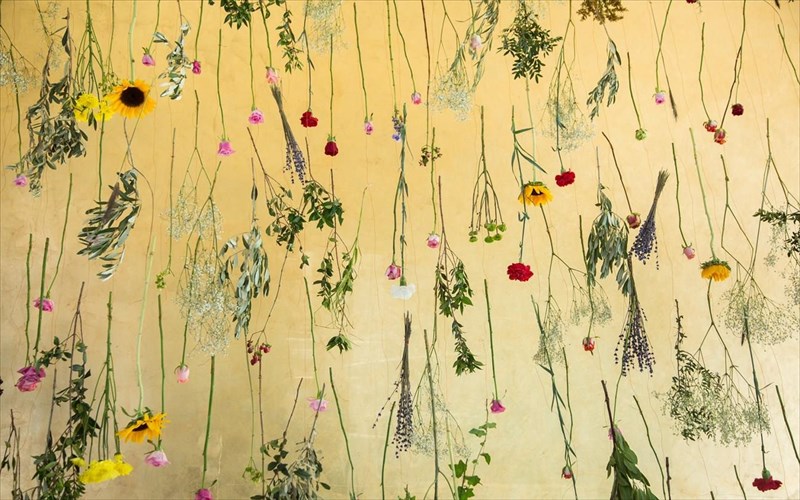 enas-ouranos-gematos-louloudia-sti-stegi-grammaton-kai-texnon