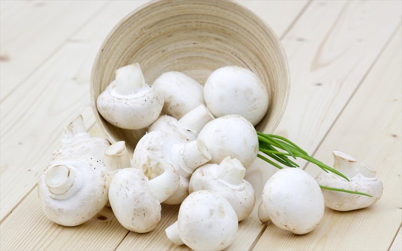 manitaria-kata-tou-karkinou-tou-mastou