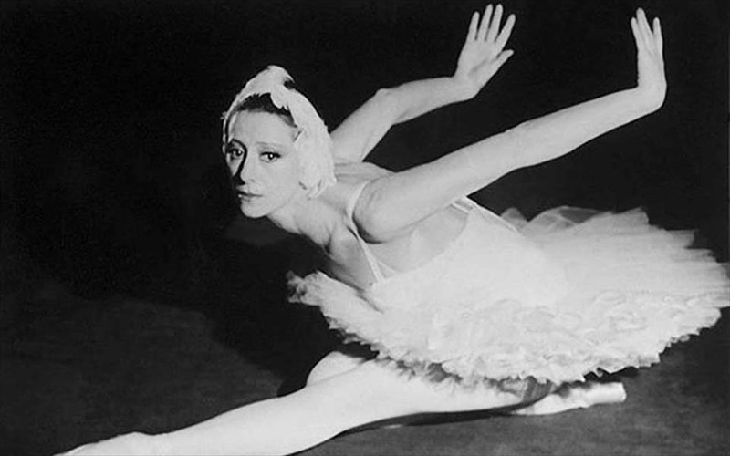 mataionetai-to-gala-mpaletou-ave-maya