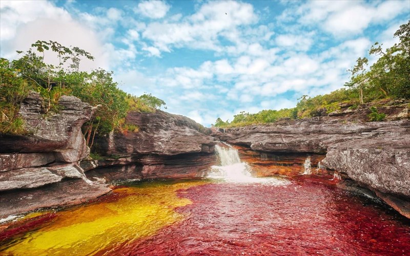 caño-cristales-to-xromatisto-potami-tis-kolombias