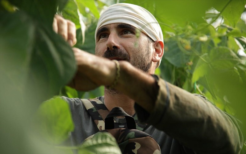 ellada-deite-ton-kosmo-mas-allios