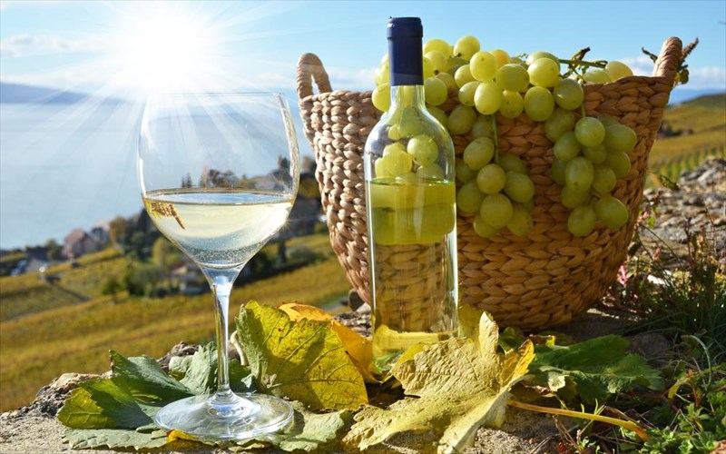 7-apo-ta-kalutera-mustika-tis-europis-gia-fagito-kai-poto-apo-ta-kalutera-mustika-tis-europis-gia-fagito-kai-poto