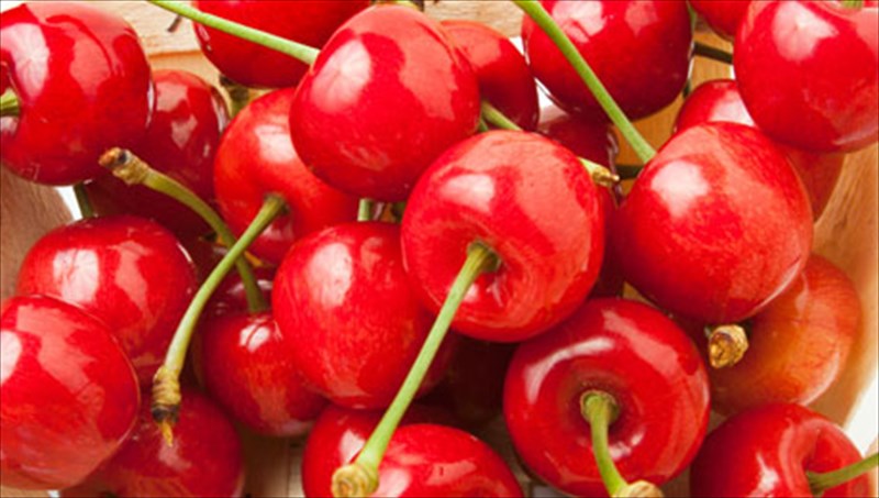 poso-epireazei-i-diatrofi-ti-gonimotita-diatrofi-ti-gonimotita