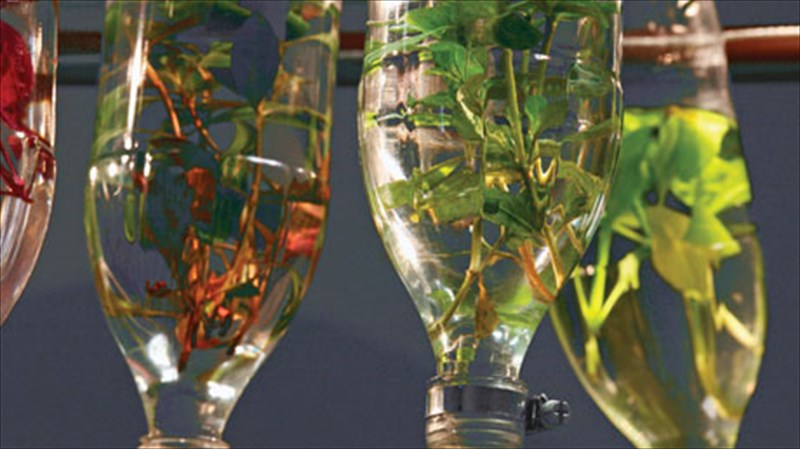 ston-kipo-tis-eterotopias-anthizei-to-idaniko