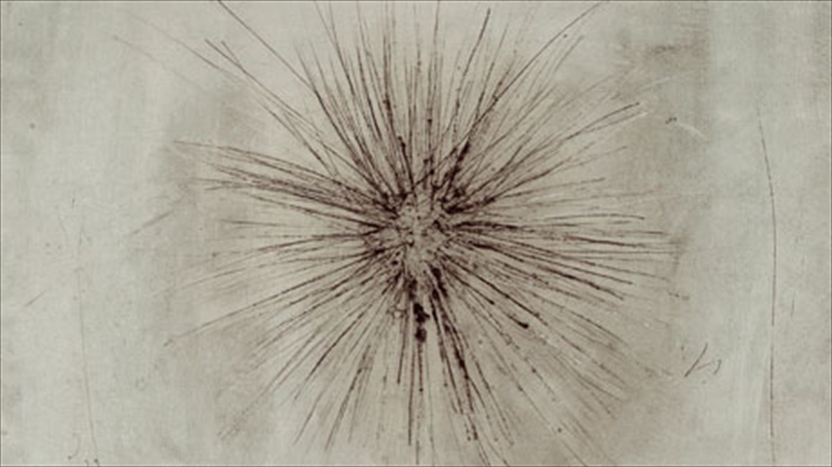 diskokritiki-axinos-lolek