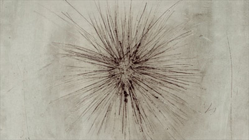 diskokritiki-axinos-lolek