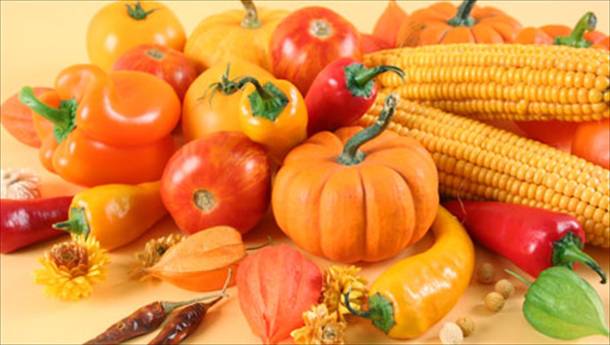 poies-einai-oi-trofes-tisaionias-neotitas