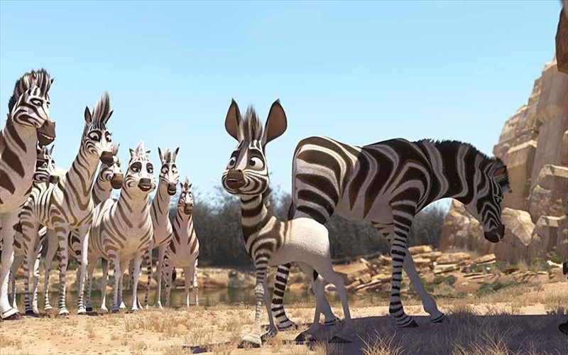 mia-apolaustiki-zebra-kaimisi