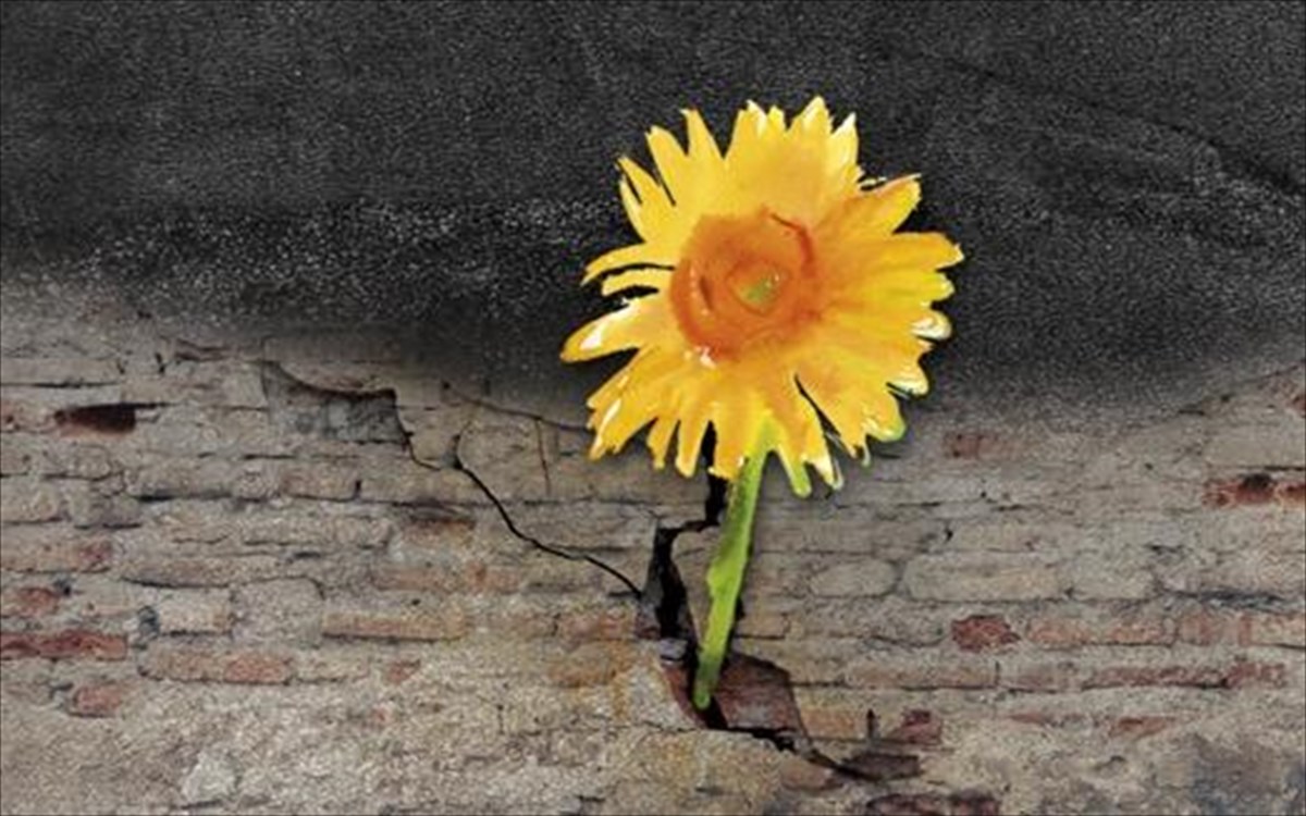 kathe-palio-na-sbistei