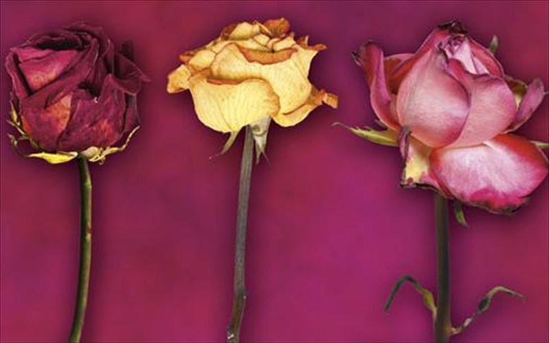 ena-muthistorima-gia-tin-alithini-agapi