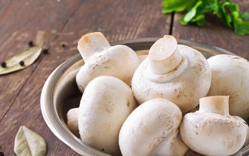 auksiste-tin-antiokseidotiki-sas-prostasia-me-leuka-manitaria